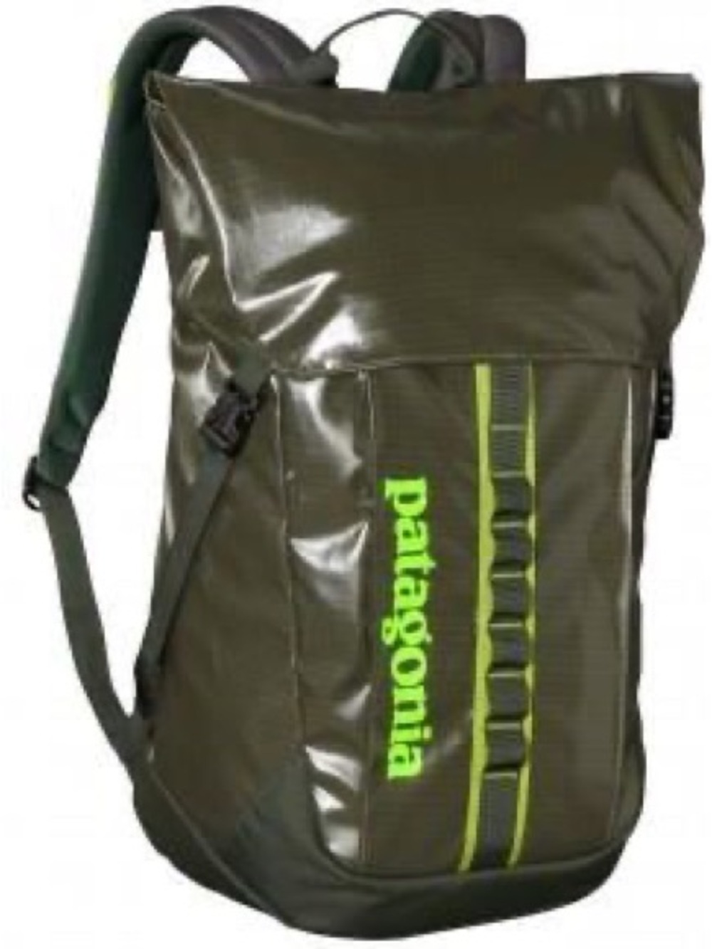Patagonia 25L Black Hole Pack Green NWOT